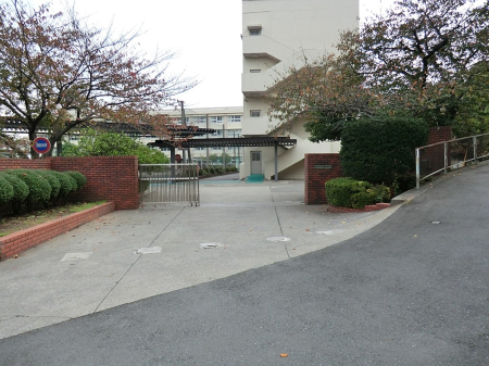 ���ӊ� ���w�Z 2400m ���l�s�����Ē��w�Z