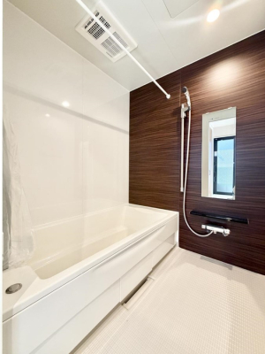 ���� �����������������F�����̕ǖʁA������芰����o�X���[��