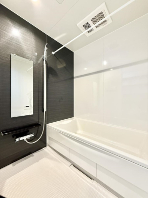 ���� �����������������F�����̕ǖʁA������芰����o�X���[��