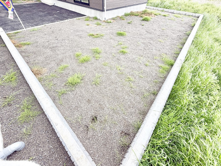 ���̑� �O�ρ��S�ɂ�Ƃ�������炷�A���R����������Z�������͂ł�