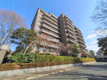 ���n�O�ώʐ^ ���Ƒ��̏Ί炪���ӂ��A�S���炮�Z�܂��ł�