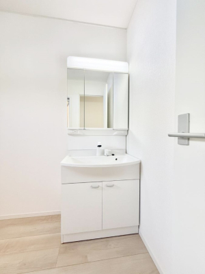 ���ʑ�E���ʏ� �������������Ő������̂�����ʏ�