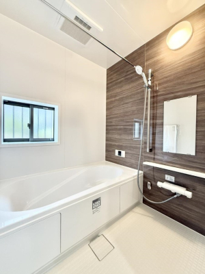 ���� �����������������F�����̕ǖʁA�������A������芰����o�X���[���B  