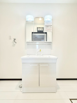 ���ʑ�E���ʏ� ���������̏������X���[�Y�ɂł���L���ł�