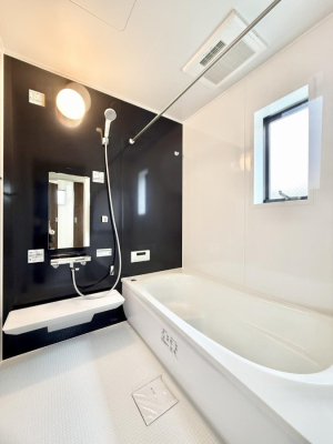 ���� �����������������F�����̕ǖʁA������芰����o�X���[��