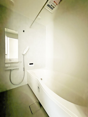 ���� �����������������F�����̕ǖʁA������芰����o�X���[��