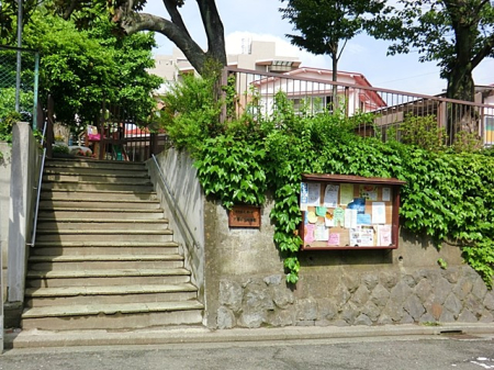 ���ӊ� �c�t���E�ۈ牀 700m �˒ˑ��c�t��