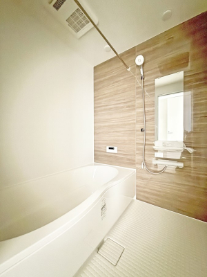 ���� �����������������F�����̕ǖʁA������芰����o�X���[��