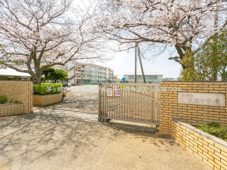 ���ӊ� ���w�Z 720m ������s���������w�Z