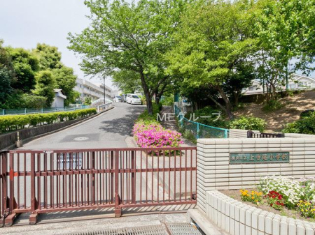 ���ӊ� ���w�Z 260m ���l�s���㎛�����w�Z