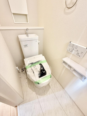 ���̑� ����