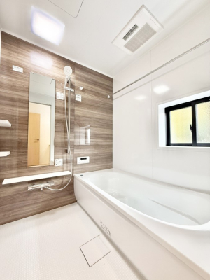 ���� �����������������F�����̕ǖʁA�������A������芰����o�X���[���B  