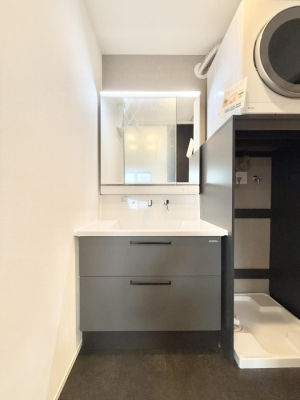 ���ʑ�E���ʏ� ���������̏������X���[�Y�ɂł���L���ł�