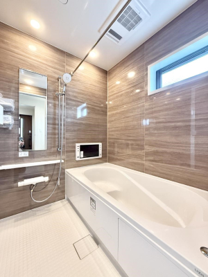 ���� �����������������F�����̕ǖʁA������芰����o�X���[��