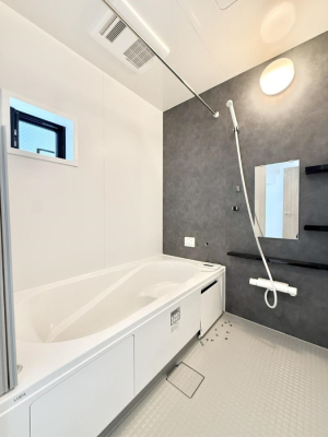 ���� �����������F�����̕ǖʁA������芰����o�X���[��