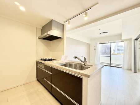 �L�b�`�� �������L���C�ɕЕt���A�g���₷���L�b�`��