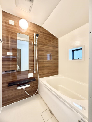 ���� �����������������F�����̕ǖʁA������芰����o�X���[��