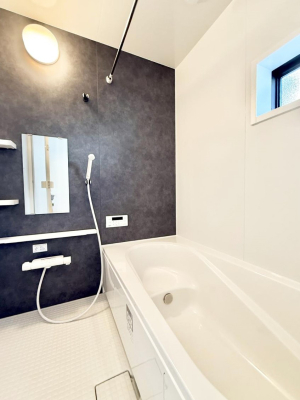 ���� �����������F�����̕ǖʁA������芰����o�X���[��