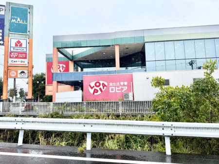 �G���g�����X ���������������͋C�̃G���g�����X���Z�܂������������}���܂�