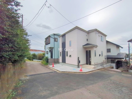 ���n�O�ώʐ^ �p�n�ɂ��z����ǍD�ł��I  