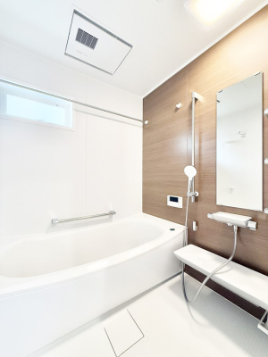 ���� �����������������F�����̕ǖʁA������芰����o�X���[��