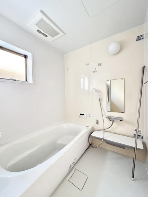 ���� ����