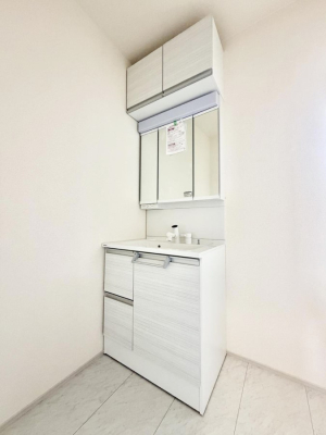 ���ʑ�E���ʏ� ���������̏������X���[�Y�ɂł���L���ł�