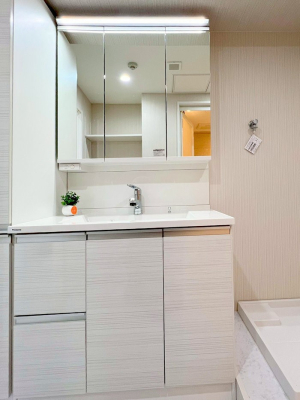 ���ʑ�E���ʏ� �������������Ő������̂�����ʏ�