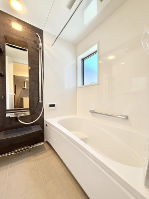 ���� �����������F�����̕ǖʁA������芰����o�X���[��