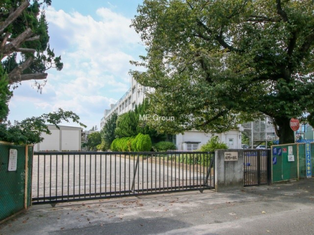 ���ӊ� ���w�Z 800m ��a�s���Ζ쏬�w�Z