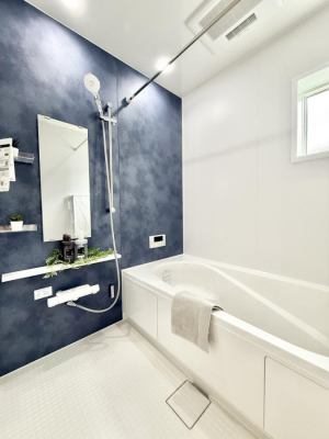 ���� �����������������F�����̕ǖʁA������芰����o�X���[��