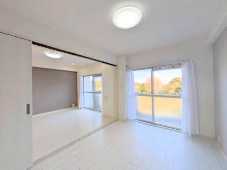 ���̑����� ��������������̂����������͋C�����������ł��ˁ�  