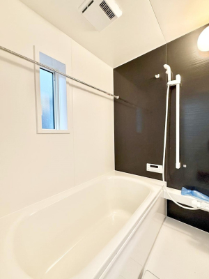 ���� �����������F�����̕ǖʁA�������A������芰����o�X���[���B  