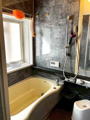 ���� �������������A������芰����o�X���[��