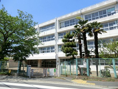 ���ӊ� ���w�Z 600m ���{��s����k���w�Z