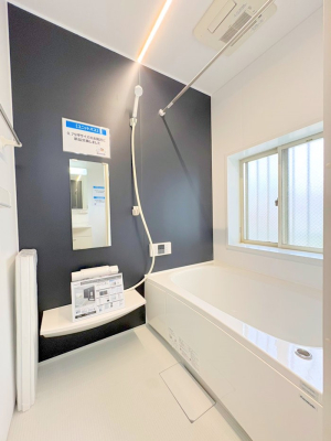 ���� �����������������F�����̕ǖʁA�������A������芰����o�X���[���B  