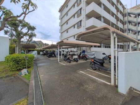 ���̑� �O��