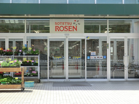 ���n�O�ώʐ^ ���D��ȃ��C�����A�������������Ă܂�