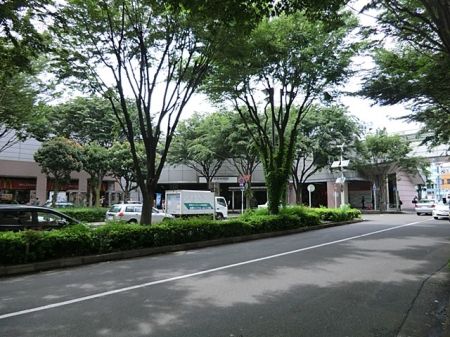 ���ӊ� �w 960m ���}�c���s�s���u�����ъԁv�w