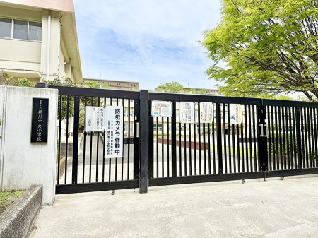 ���ӊ� �c�t���E�ۈ牀 900m �Ԃ̖ؕۈ牀