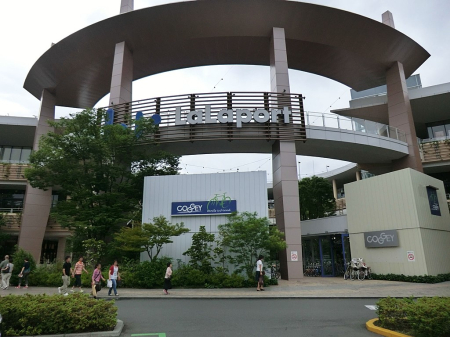 ���ӊ� ���̑����ʐ^ 2800m ���ہ[�Ɖ��l