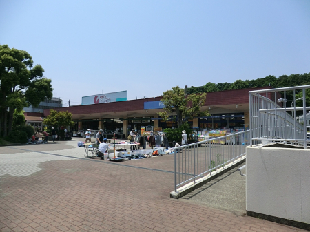 ���ӊ� ���w�Z 800m ���l�s���������u���w�Z