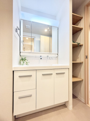 ���ʑ�E���ʏ� ���������邢���ʏ��A���������[�X�y�[�X�t�I