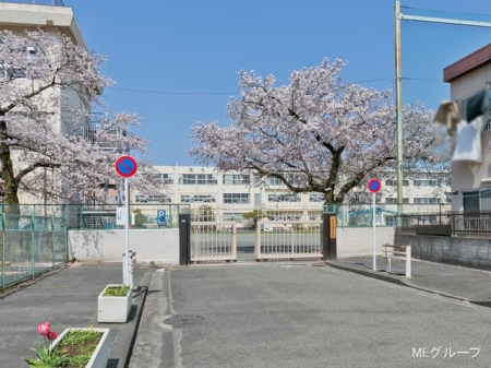 ���ӊ� ���w�Z 480m �����q�s����܏��w�Z