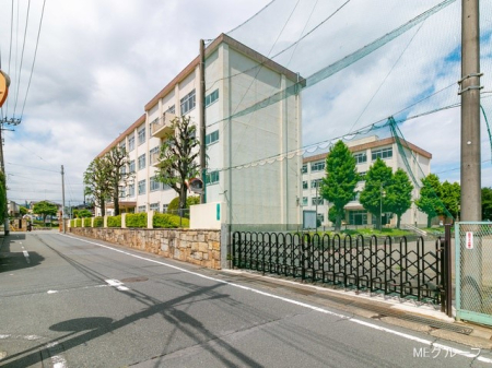 ���ӊ� ���w�Z 213m �����q�s���掵���w�Z