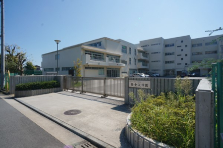 ���ӊ� ���w�Z 700m ���l�s���`������w�Z ������w��