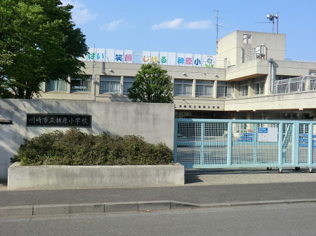 ���ӊ� ���w�Z 1518m ���s���B�����w�Z
