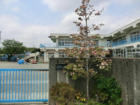 ���ӊ� �c�t���E�ۈ牀 700m ���ۈ牀