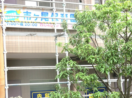 ���ӊ� �c�t���E�ۈ牀 450m �s�P���ۈ牀