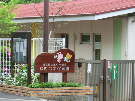 ���ӊ� �c�t���E�ۈ牀 450m �˂ނ̖ؕۈ牀